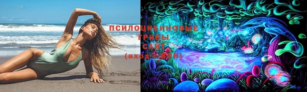гидропоника Алексеевка
