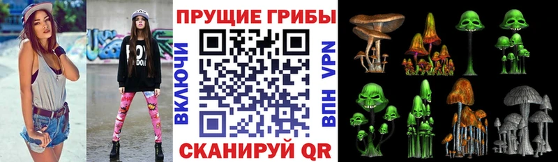 Псилоцибиновые грибы ЛСД хочу Конаково