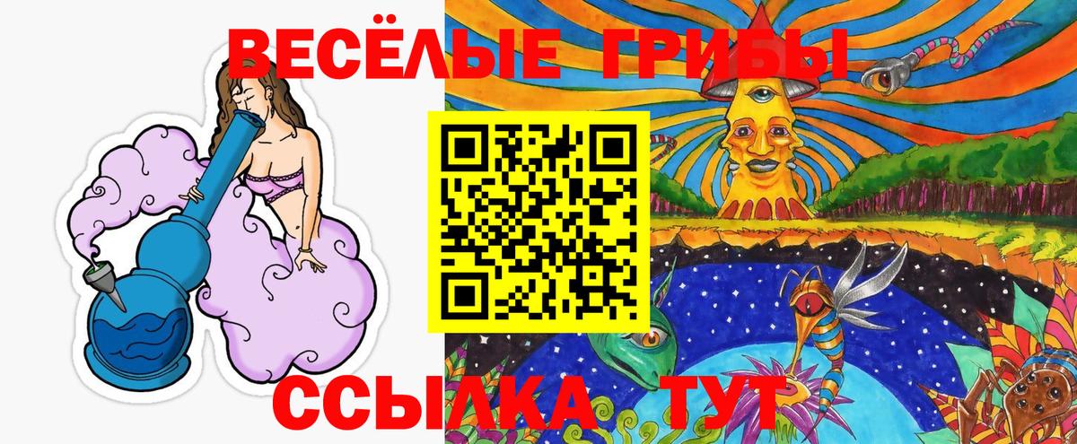 Псилоцибиновые грибы Psilocybine cubensis  Вход с VPN  Конаково 